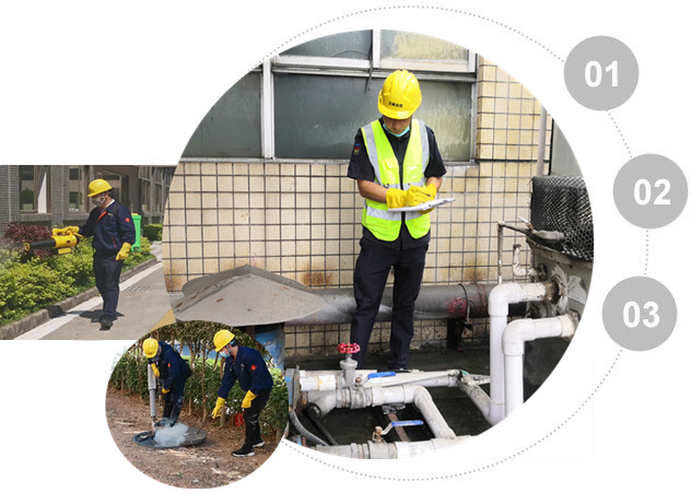 蟲害防治解決方案