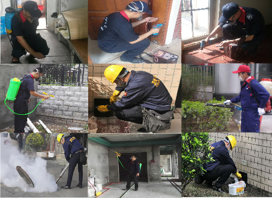 安全的施工體系