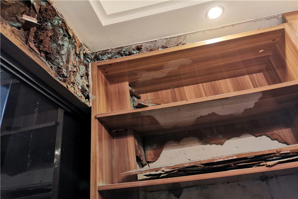 石灣白蟻防治中心,石灣白蟻防治站