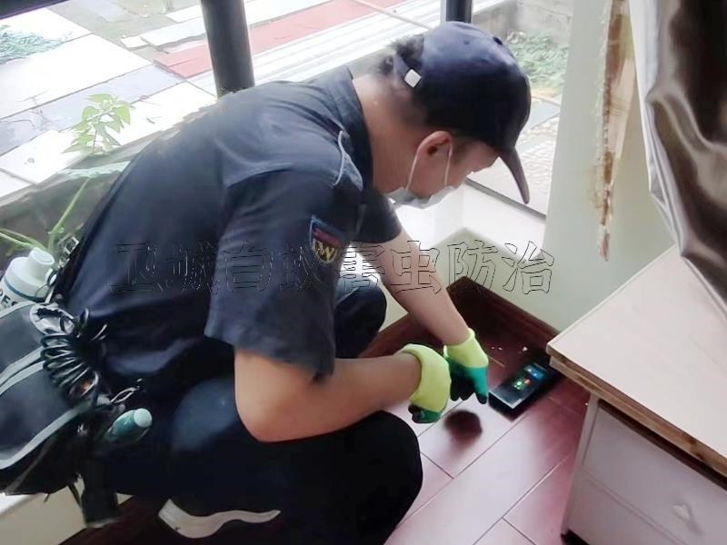 惠州白蟻防治公司,惠州白蟻防治收費