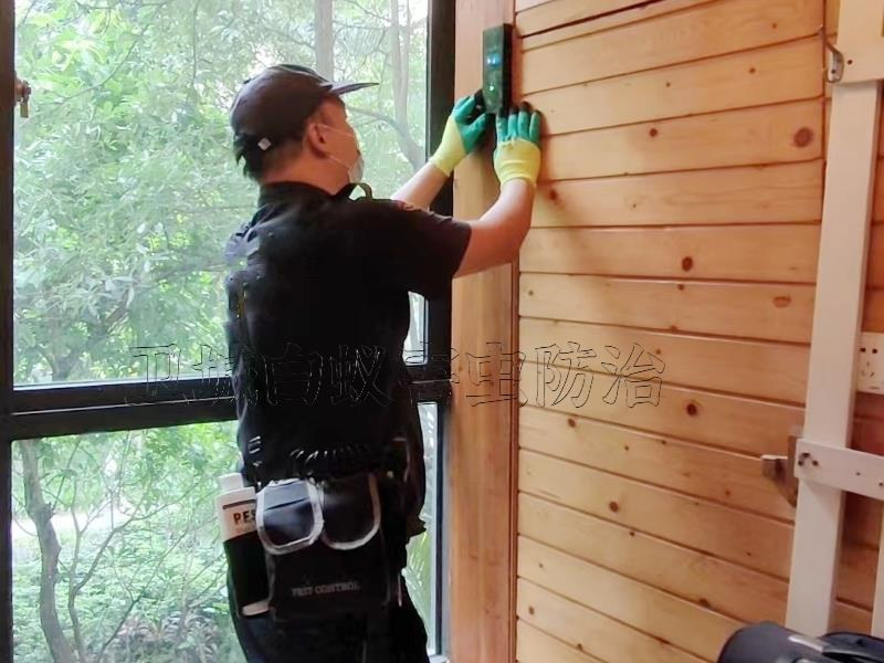 仲愷高新科技園殺白蟻,仲愷滅白蟻g