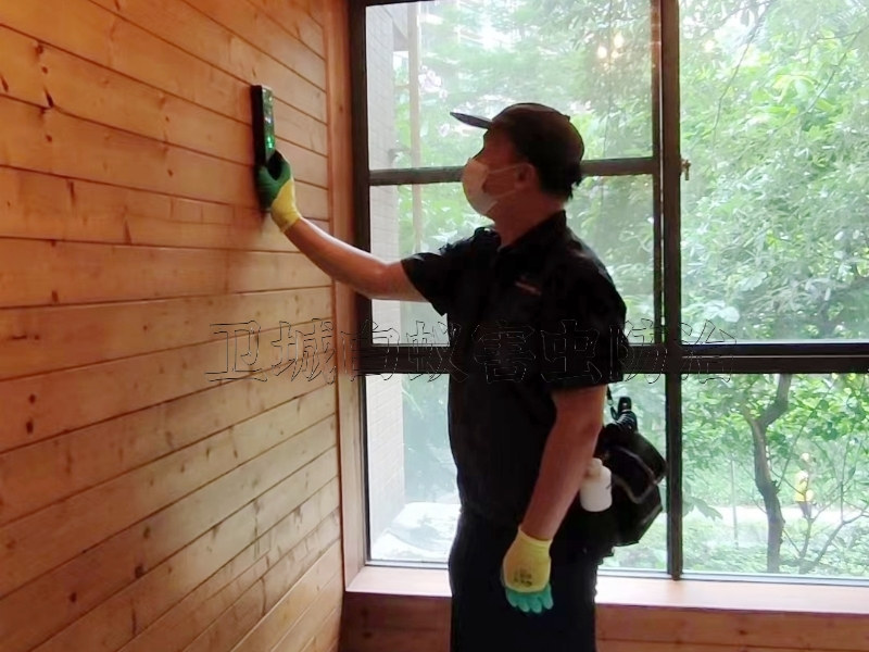 潼湖科技小鎮(zhèn)白蟻防治,潼湖滅白蟻公司消殺白蟻很徹底