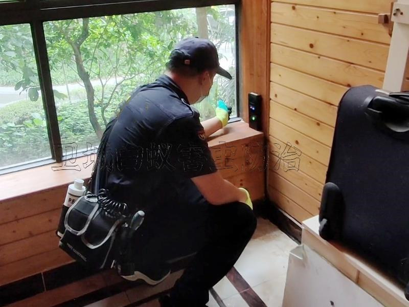 潼湖科技小鎮白蟻防治,潼湖滅白蟻公司