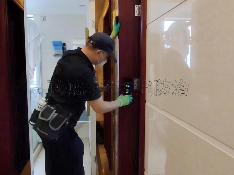 惠陽大亞灣各種場所小區白蟻防治（衛城蟲控）