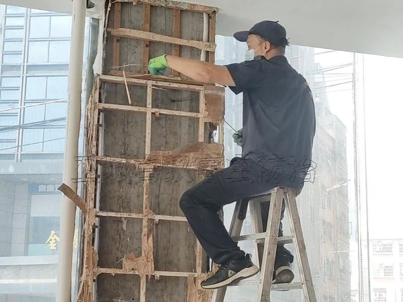 大亞灣白蟻公司,大亞灣西區碧桂園翡翠山白蟻預防（衛城蟲控）