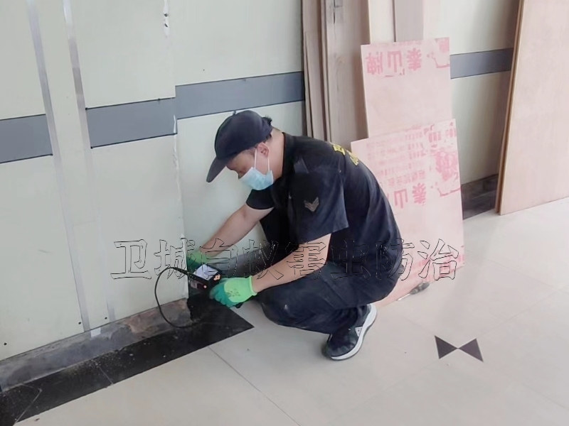 大亞灣白蟻公司,大亞灣西區碧桂園翡翠山白蟻預防