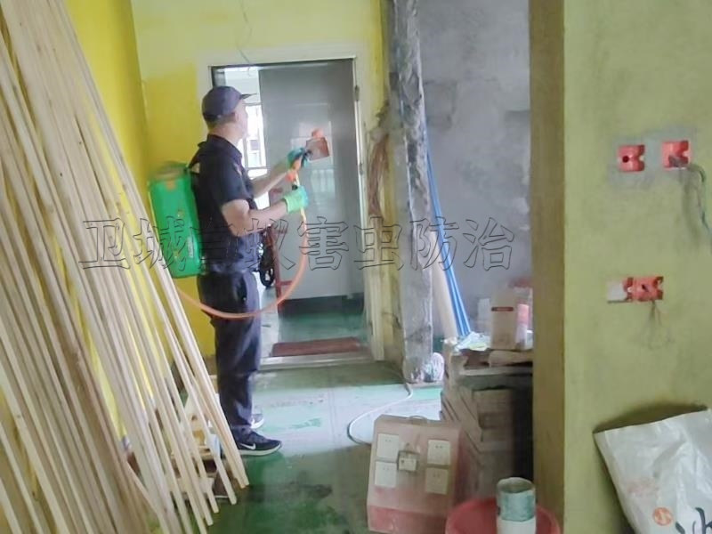 羅陽白蟻預防,園洲裝修防白蟻,龍溪白蟻公司,石灣處理白蟻機構（有效防護期長）