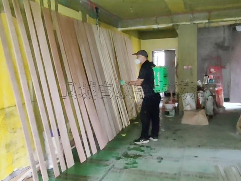 羅陽白蟻預防,園洲裝修防白蟻,龍溪白蟻公司,石灣處理白蟻機構