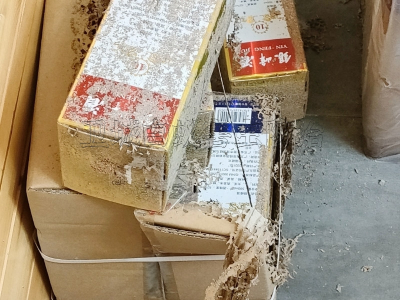 澳頭白蟻處理機(jī)構(gòu)，澳頭誘殺白蟻公司