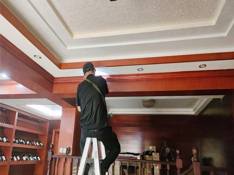 南沙區橫瀝白蟻防治丨廣州市南沙區橫瀝鎮白蟻防治滅治殺防白蟻