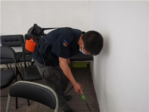 惠城白蟻防治,惠城裝修防白蟻公司