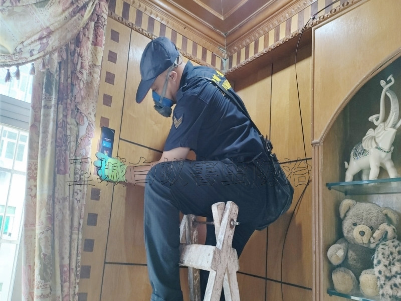 惠州專業白蟻防治