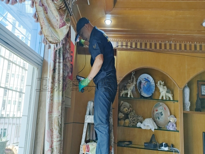 惠州專業(yè)白蟻防治【衛(wèi)城蟲控公司一次滅絕】