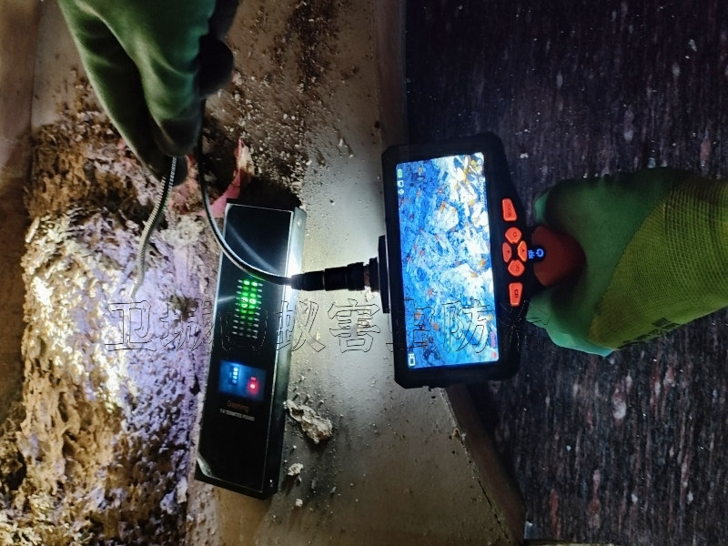 專業石灣鎮家庭防治白蟻,石灣專業處理除白蟻公司專業石灣鎮家庭防治白蟻,石灣專業處理除白蟻公司