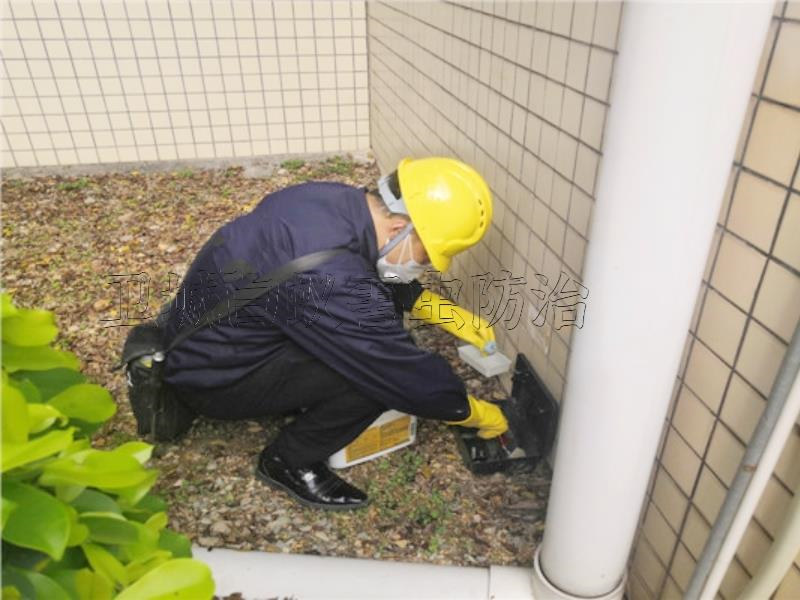 仲愷除四害滅鼠殺蚊除蟑螂公司【優(yōu)質(zhì)服務安全可靠】