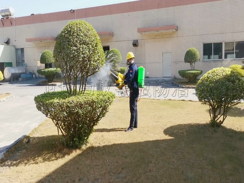 惠州臭蟲消殺公司效率好丨專業(yè)惠州滅臭蟲公司 丨殺臭蟲首選衛(wèi)城消殺