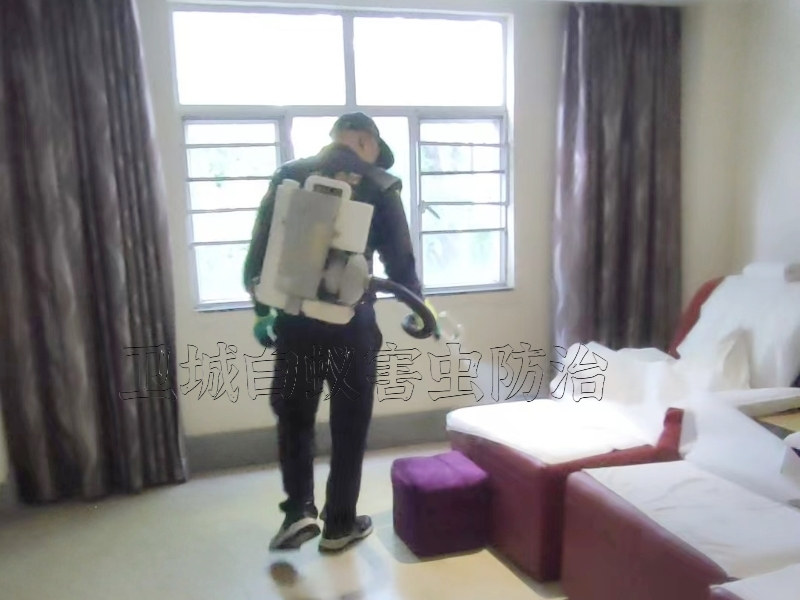 仲愷消殺臭蟲公司{仲愷殺蟲公司}惠陽淡水臭蟲防治