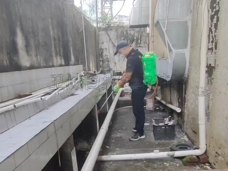 惠州仲愷滅鼠公司_仲愷{滅鼠公司}仲愷臭蟲防治