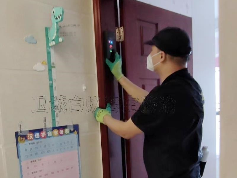 惠州惠陽白蟻防治中心丨惠陽滅白蟻公司丨永湖鎮上門殺白螞蟻