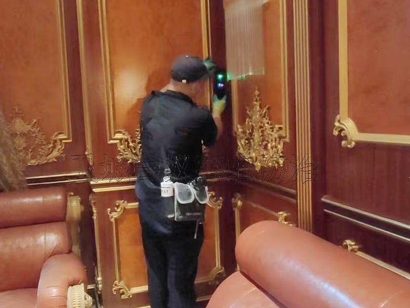 博羅楊村白蟻防治,惠州博羅楊僑白蟻防治,博羅園洲白蟻防治中心