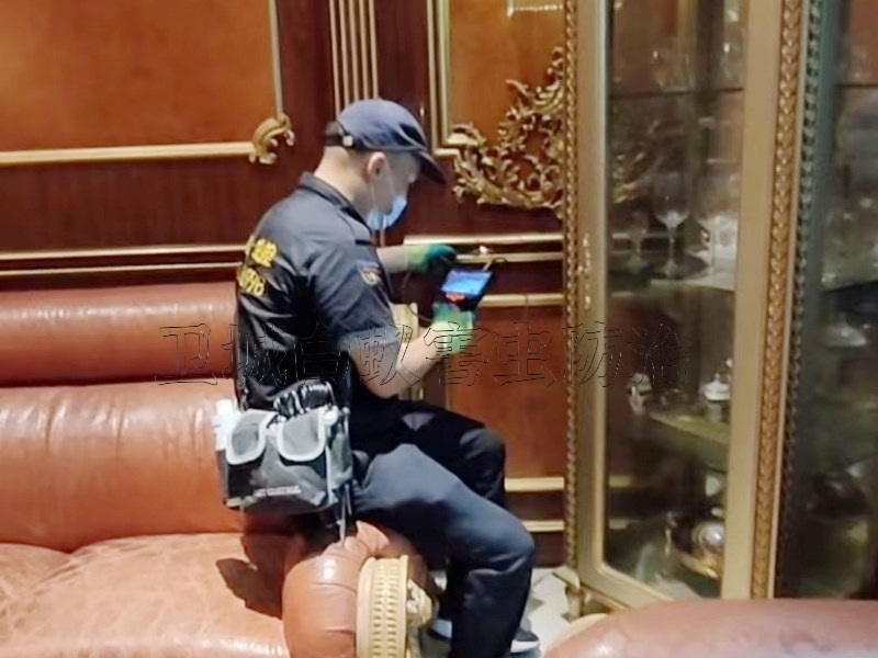 博羅楊村白蟻防治丨惠州{博羅楊僑白蟻防治}園洲白蟻防治中心