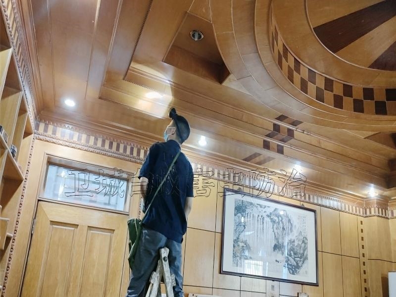 惠東白蟻防治_殺白蟻的{惠東滅白蟻公司}惠東滅白蟻公司