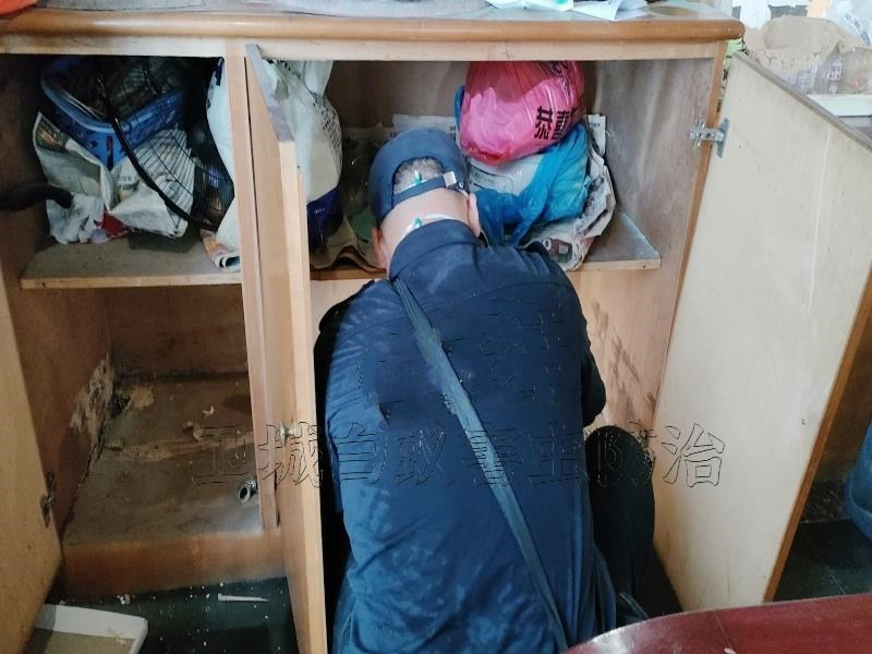 惠州防白蟻公司丨惠州防治白蟻中心技術行內領先