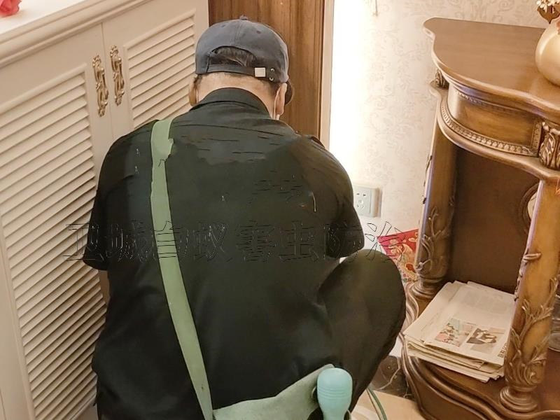 惠東大嶺白蟻防治中心丨惠東縣{多祝白蟻防治}高潭滅白蟻公司