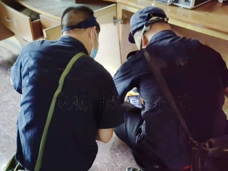 寶口白蟻防治_惠東縣{寶口白蟻防治中心}滅白蟻公司