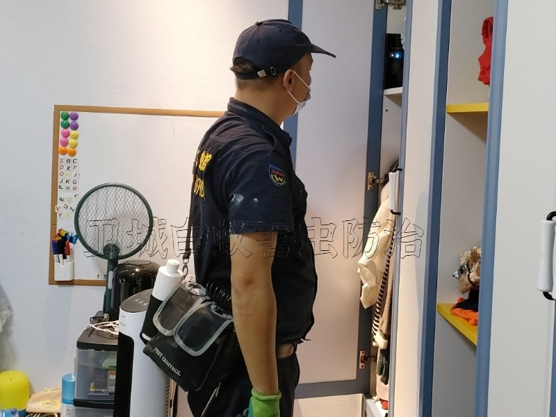 惠東平山白蟻防治丨客家人{平山滅白蟻公司}平海白蟻防治中心