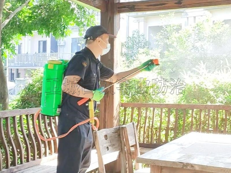 惠東縣滅白蟻公司_黃埠鎮白蟻防治吉隆稔山殺白蟻一次消殺到位