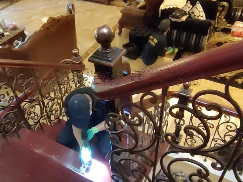 惠東碧桂園十里銀灘白蟻防治丨惠州巽寮平海鎮稔山白蟻防治中心