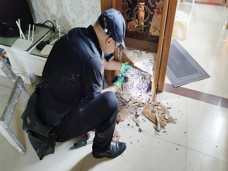 大亞灣白蟻防治中心_惠州市衛城大亞灣白蟻防治有限公司