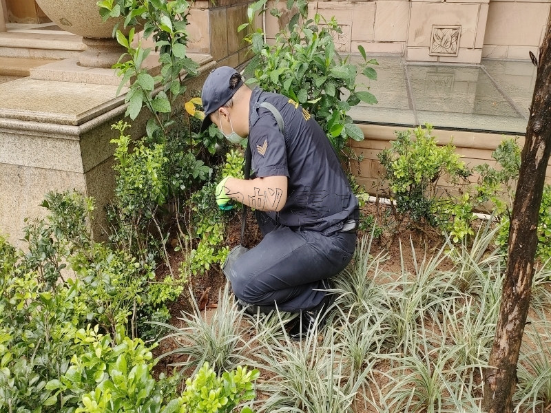 惠陽淡水白蟻防治中心_惠州市衛城惠陽淡水白蟻防治有限公司