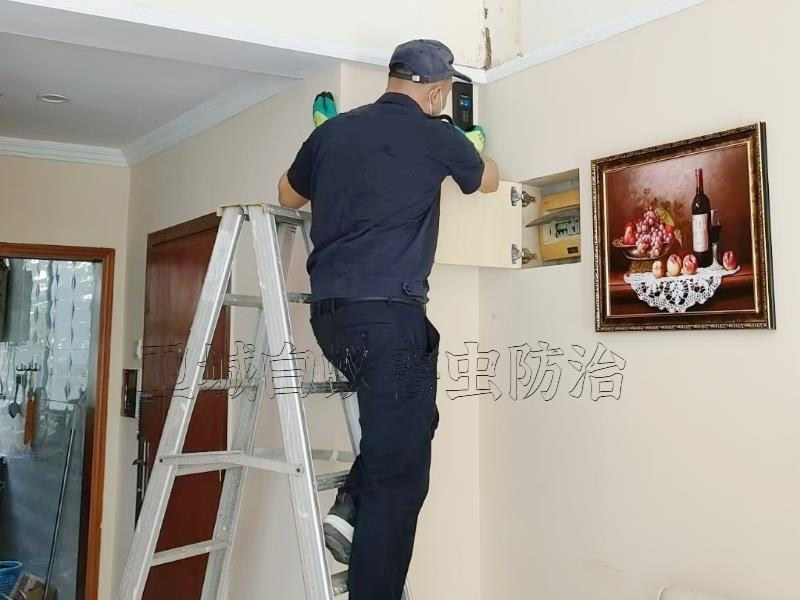 惠城裝修防治白蟻公司，惠州惠城區(qū)物流倉(cāng)庫(kù)滅白蟻殺白蟻工程