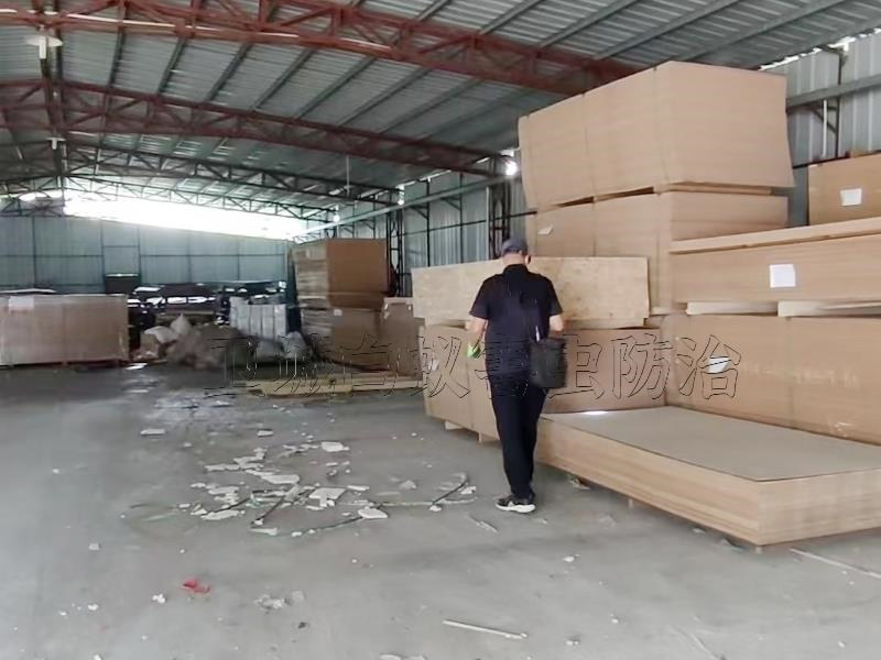 博羅縣龍溪裝修白蟻預防項目_羅陽石灣園洲麻陂房屋白蟻預防工程