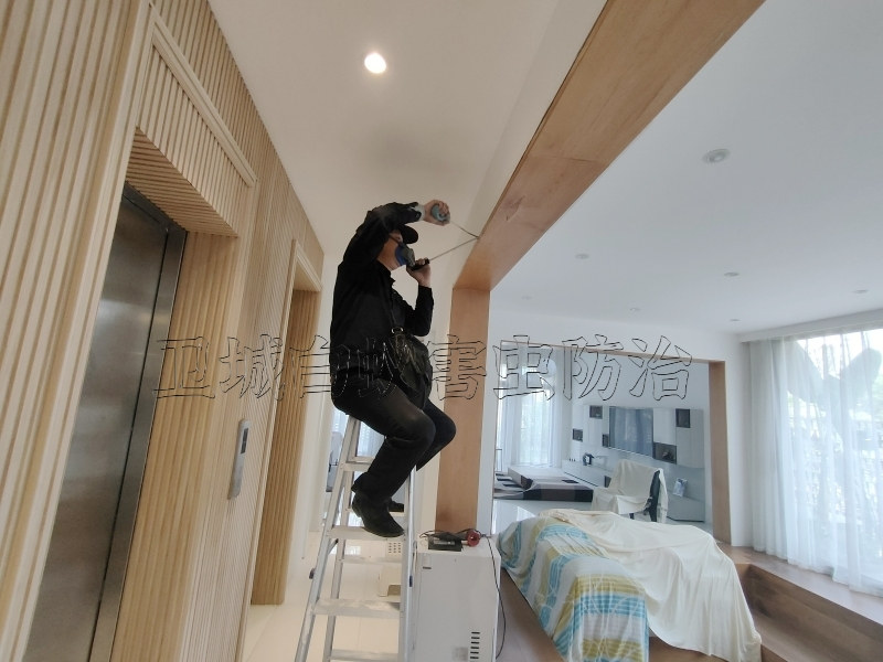 新塘滅白蟻公司-增城{新塘滅白蟻公司}新塘白蟻防治中心