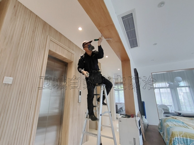 增城荔城白蟻防治丨荔城滅白蟻公司服務經驗到位