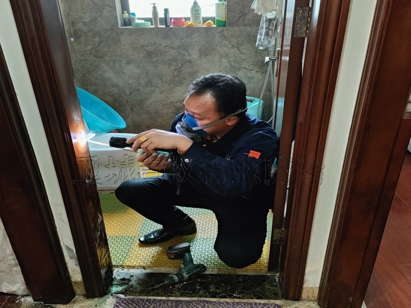 增城正果白蟻防治丨師傅客家人{正果白蟻防治中心}正果滅白蟻公司