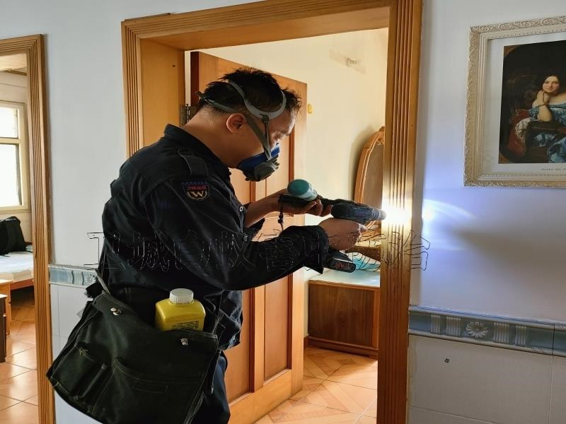 增城中新白蟻防治丨師傅客家人白蟻防治中心中新滅白蟻公司