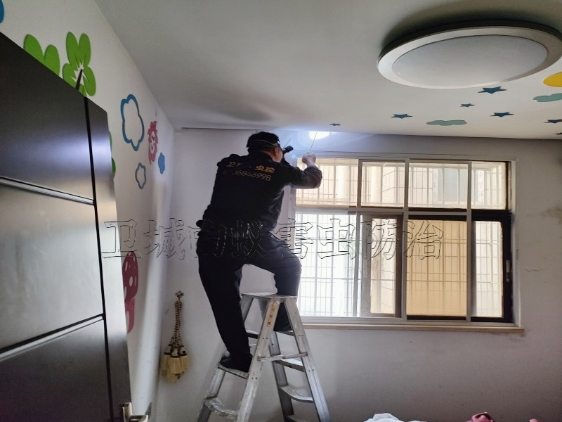 增城朱村白蟻防治丨本地附近專業{白蟻防治中心}朱村滅白蟻公司