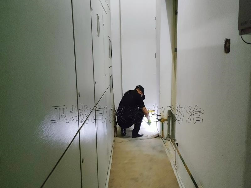 番禺區白蟻防治中心丨廣州番禺滅白蟻公司