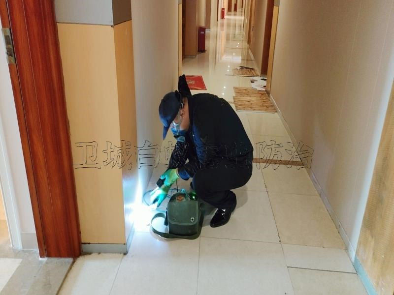 海珠區(qū)白蟻防治中心丨廣州海珠滅白蟻公司徹底消殺白蟻專家