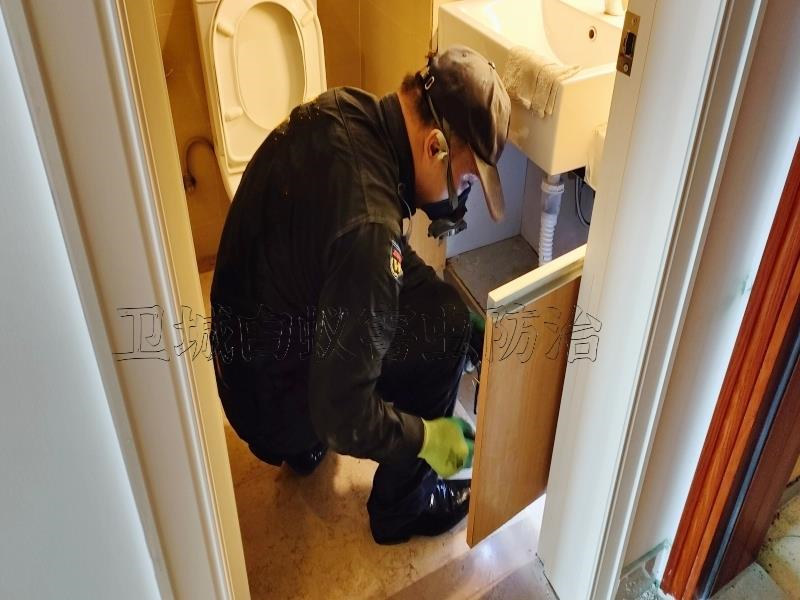 花都區白蟻防治中心丨廣州花都滅白蟻公司徹底消殺白蟻專家