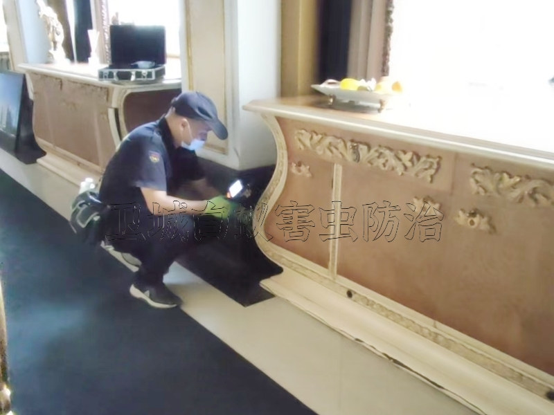 從化白蟻防治中心-讓您100%滿意廣州市從化滅白蟻公司