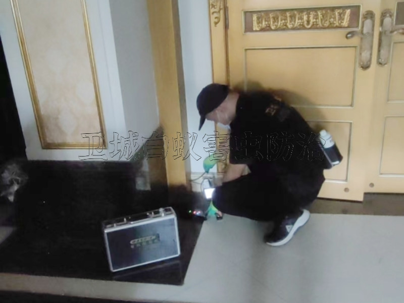 從化街口白蟻防治-您的首要選擇廣州市從化街口滅白蟻公司