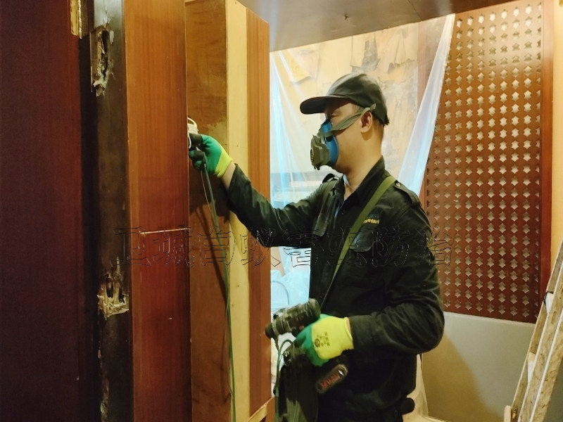 海珠區南石頭白蟻防治丨廣州市海珠南石頭滅白蟻公司30年老品牌