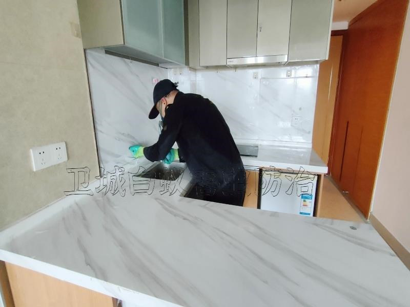 海珠區瑞寶白蟻防治丨廣州市海珠瑞寶滅白蟻公司