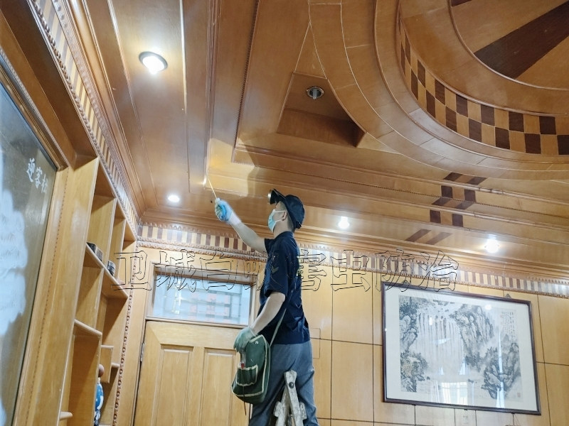 天河區(qū)沙河白蟻防治丨廣州市天河沙河街道滅白蟻公司