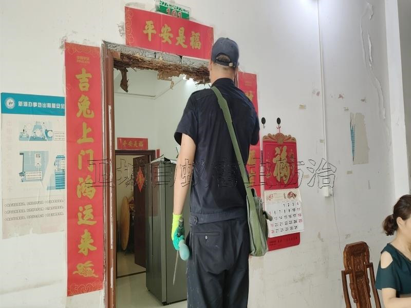 黃埔區魚珠白蟻防治中心丨大力推薦廣州市魚珠滅治白蟻除殺白蟻公司